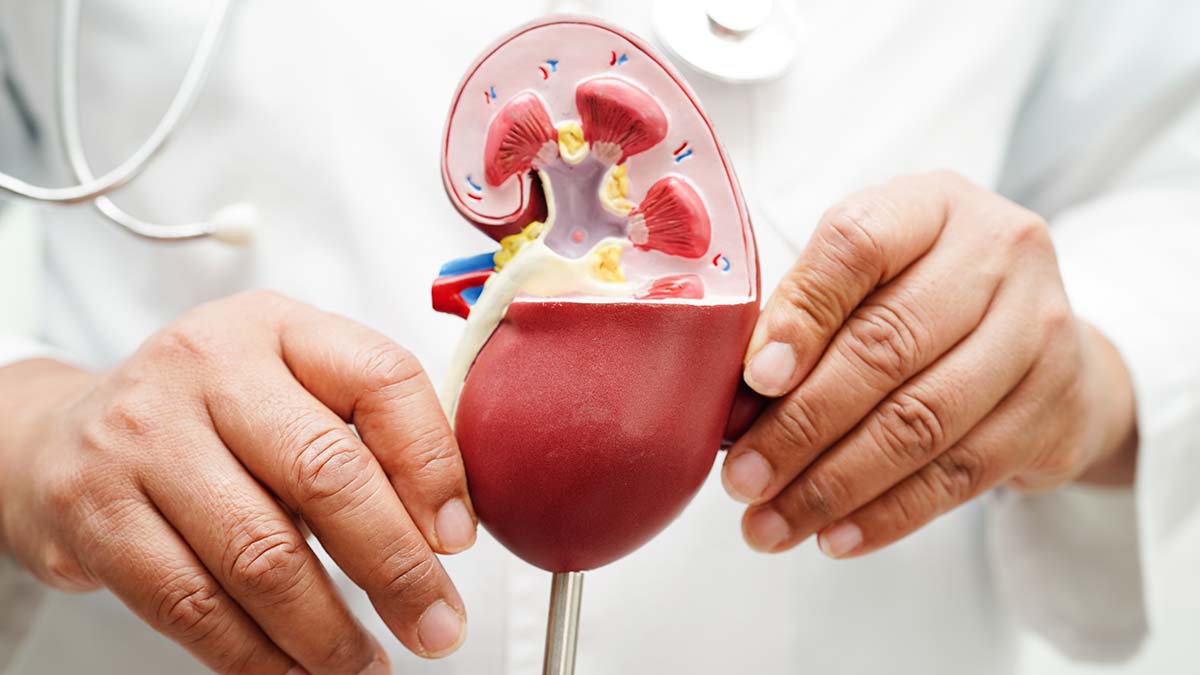 Understanding 4th Stage Kidney Disease: Causes, Symptoms, and Treatment Options
